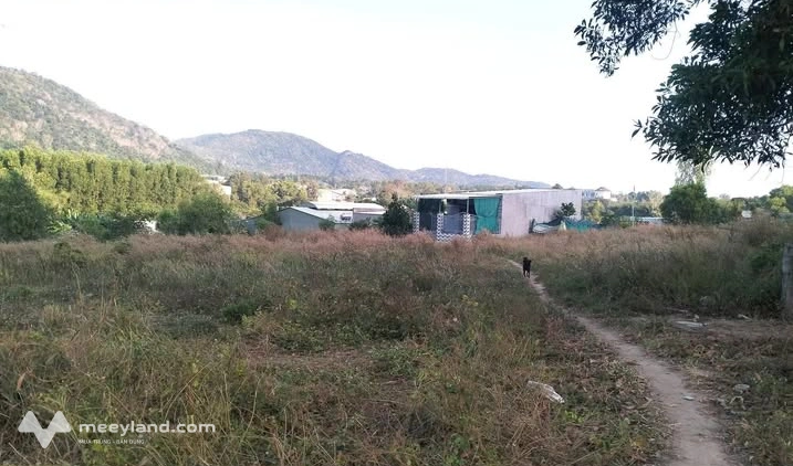 Bán đất đồng sở hữu thuộc Hải Lâm, xã Long Hải, giá 750 triệu