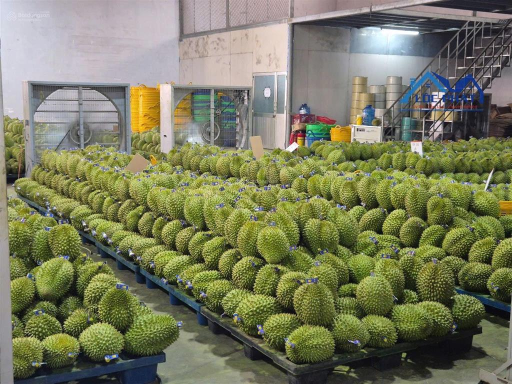 Bán xưởng 8.300m2 tại long khánh, đồng nai. giá chỉ 95 tỷ thương lượng.