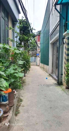 Chủ tự xây tâm huyết Nam Đuống Việt Hưng, ô tô gần nhà, ngõ nông thoáng đãng