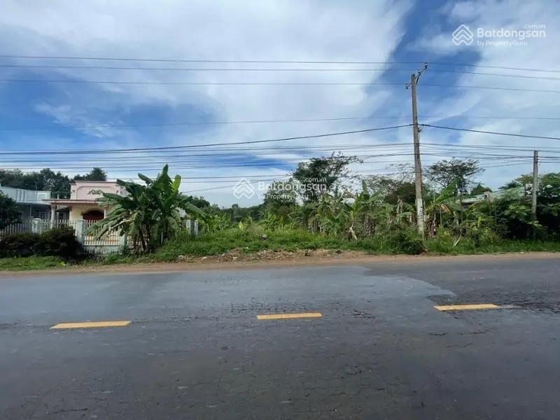 Cần bán gấp đất mặt tiền đường đt765 727m² có thổ cư giá tốt