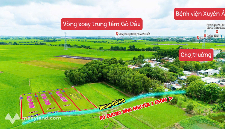 Diện tích 11m x 55m, đất đẹp lập vườn gần 600m2, phường Gò Dầu, 279 triệu