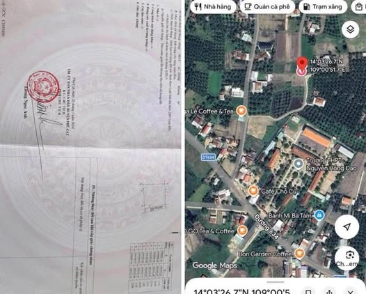 Bán đất trồng cây 500m² Cát Hanh, Phù Cát - Giá 149 triệu