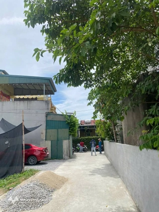 Bán đất An Hưng, ngay chợ Nấp, ô tô vào tận đất