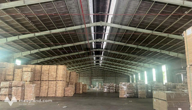 Cho thuê kho xưởng 3000m2 Gò Dầu, Tây Ninh