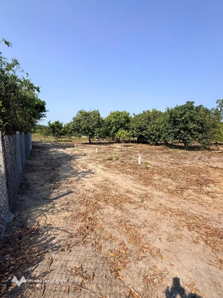 Đón đầu kđt vinh cam ranh với lô đất 350m², ngang 10,5m, sổ hồng thổ cư, giá 5,2 triệu/m