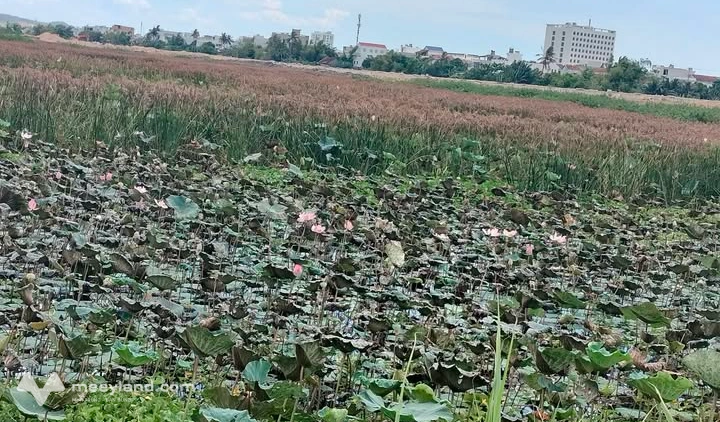 Bán nhà riêng thành phố Tuy Hòa, tỉnh Phú Yên, giá 700 triệu