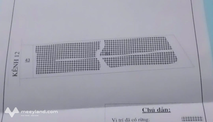 Bán 47 công đất vuông mặt tiền lộ đan Tam Giang, Cà Mau