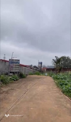 Bán lô đất thôn Hoàng Tâm, cách ngã tư Phai Trần 300m, đường ô tô đỗ cửa
