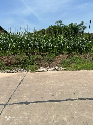 Bán lô đất rộng 434m2 tại xã Đại Phúc, diện tích 434m2, có 110m2 thổ cư, mặt tiền 24m