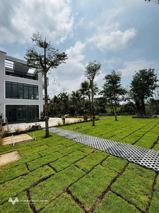 Cho thuê biệt thự sân vườn mới xây – Không gian xanh đẳng cấp