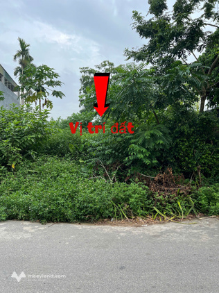 Chính Chủ bán lô đất trục chính Ngoại Trạch 1 - Tam Hợp - Bình Xuyên – vị trí đẹp