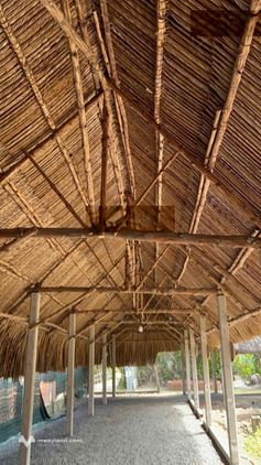 Chính chủ cho thuê mặt bằng 1.000m2 mặt tiền Tỉnh Lộ 825 Hòa Khánh, Tây Ninh