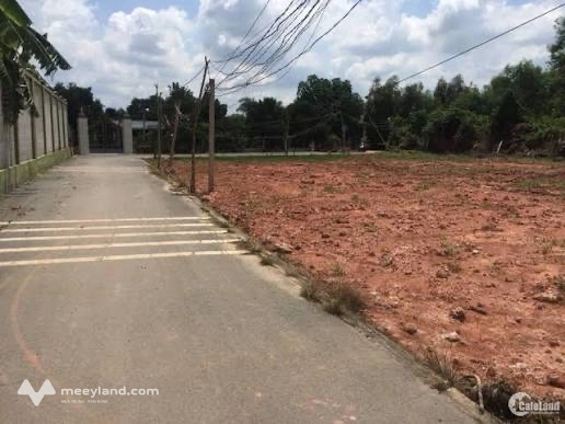Bán đất Phú Riềng – diện tích 243m² – giá chỉ 3,2 tỷ