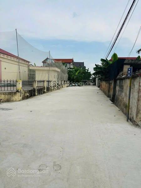 Bán đất tại sơn đoài tân minh, 16 triệu / m2, 98 m², mặt tiền 5m