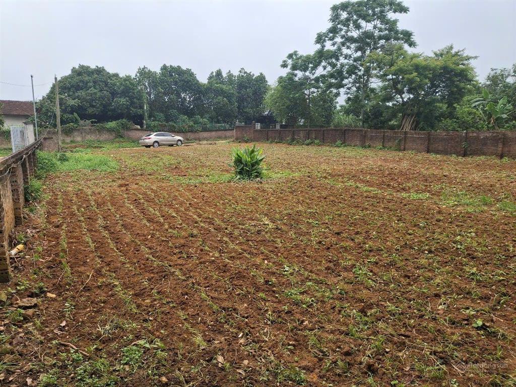 Chính chủ bán lô đất tề lễ tam nông 343,7m