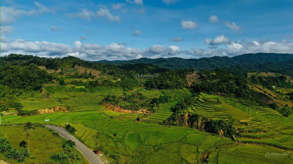 Bán đất măng đen view đồi chỉ 1,7 tỷ | 757,2m² có 50m² thổ cư