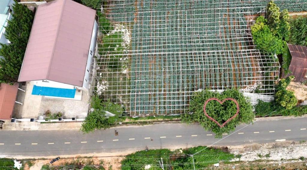Bán đất mặt tiền đa phú hơn 9tr/m2 đường nhựa thuận tiện kinh doanh căn hộ hoặc đầu tư lâu dài