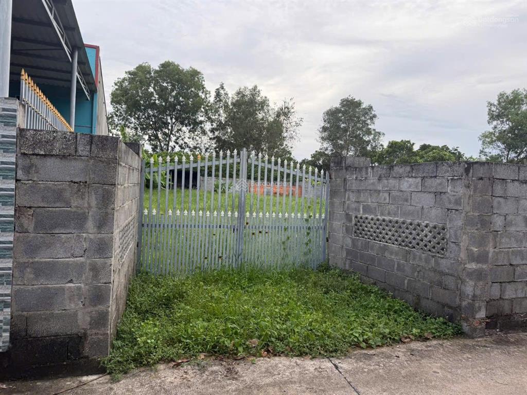 Bán 1500 m2 đất thôn đá mài, hàm tân
