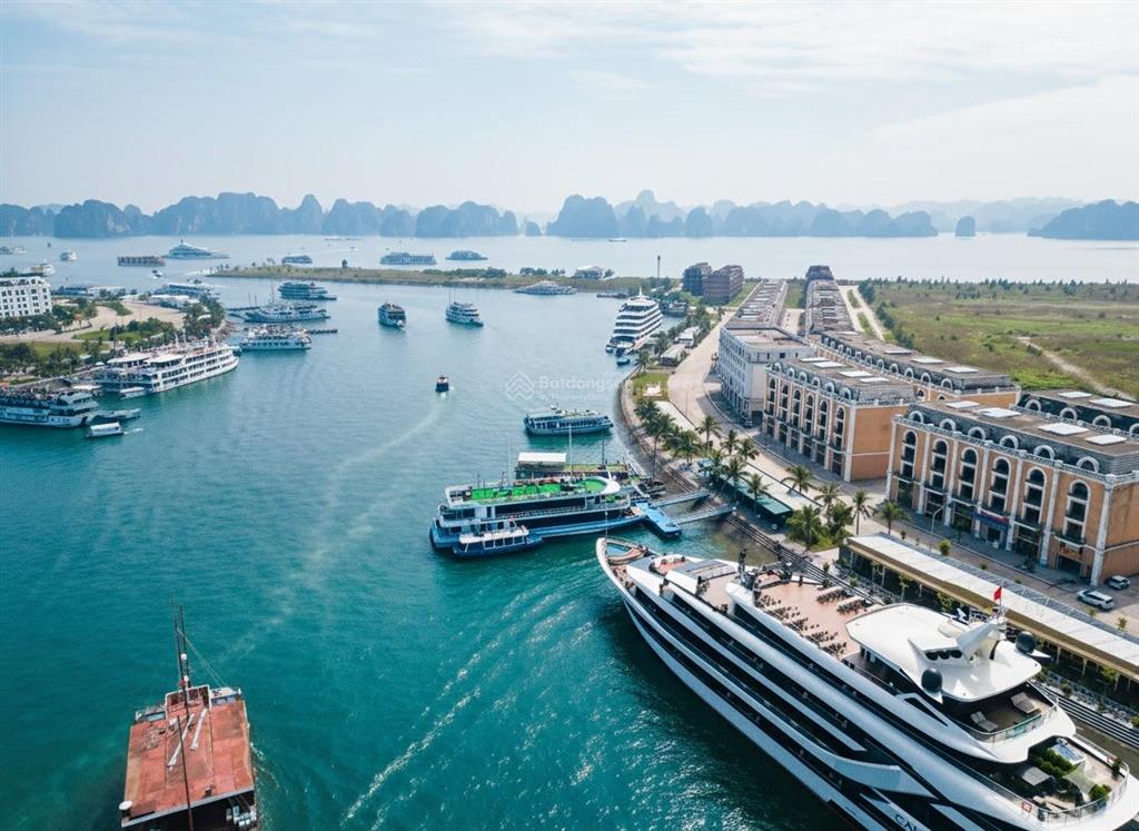 Trí đại [tổng kho chuyển nhượng ] quỹ căn liền kề tuần châu, mặt cảng giá 5,x tỷ đủ mọi vị trí