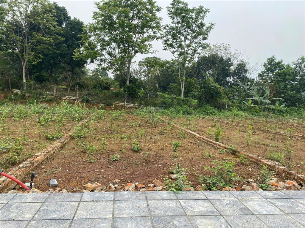Cần tiền bán gấp lô đất 141m2 full thổ cư 399triệu