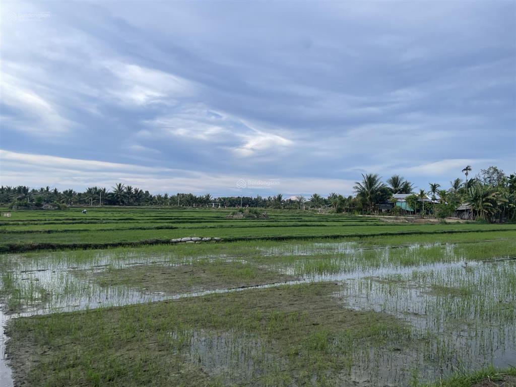 Hot hot!! lô đất view lúa cẩm thanh giá tốt, mặt tiền rộng, thoáng. xây villa tuyệt đẹp!