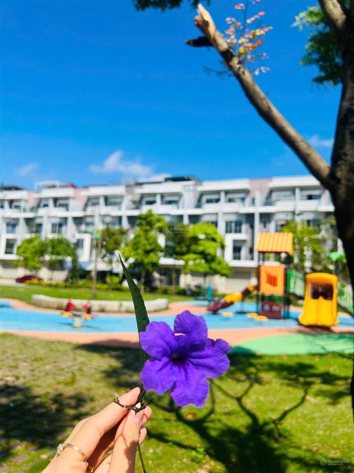 Cần tiền bán gấp căn him lam nhìn vườn hoa 1. 0965 308 ***