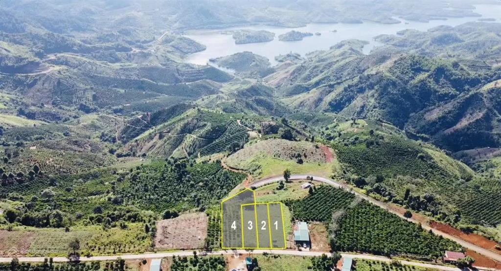 Chính chủ bán đất view hồ tà đùng 647,1m2 230m2 thổ cư tà đùng lâm đồng giá 5.14 tỷ