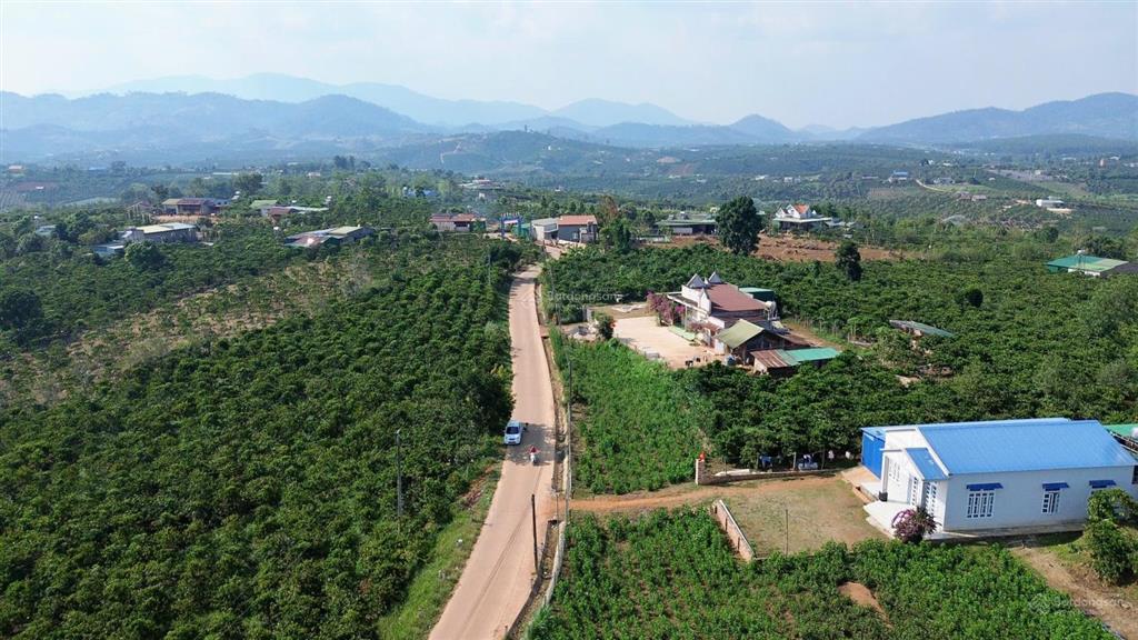 Đất phúc thọ lâm hà, lâm đồng giá chỉ từ 379 triệu/lô