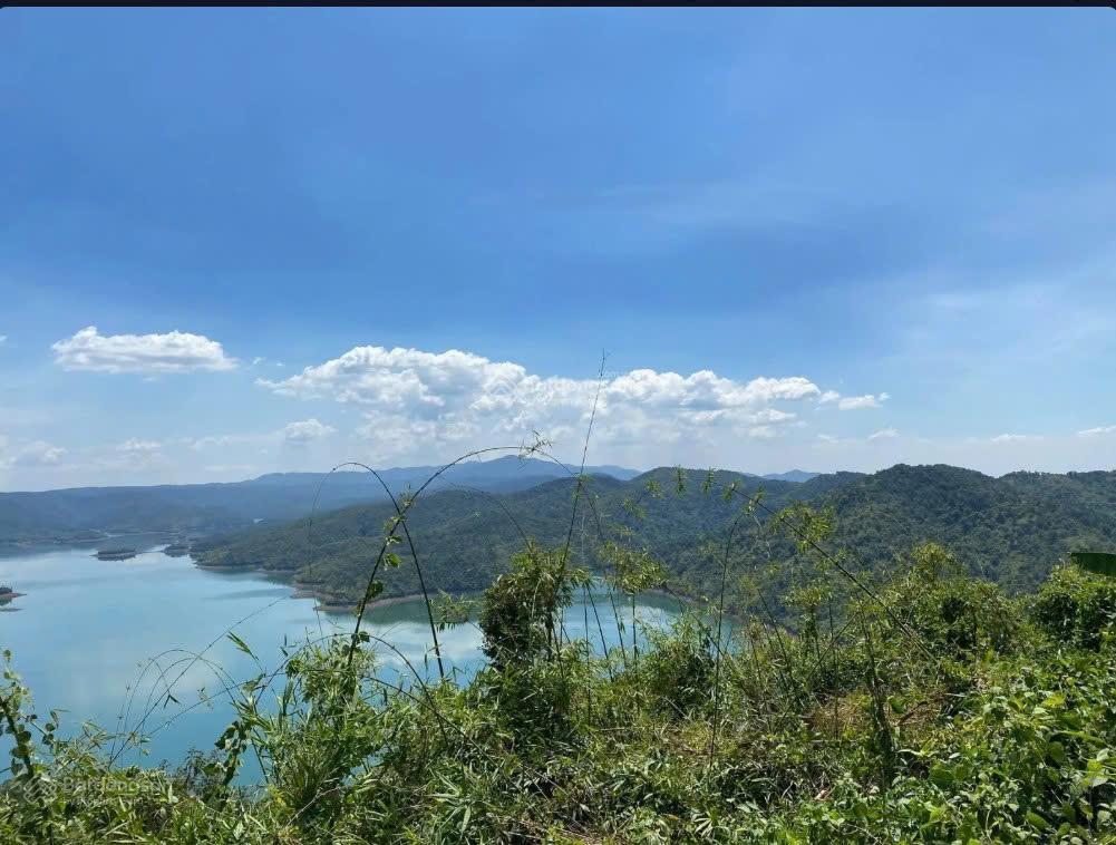 Bán đất view thung lũng tà đùng 3.638m² mặt tiền 40m giá 1.928 tỷ