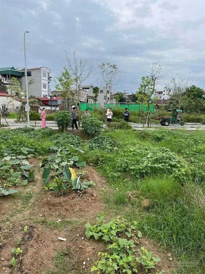 Rẻ nhất khu tái định cư thư lâm, đông anh vị trí đẹp gia đình cần vốn nên bán gấp