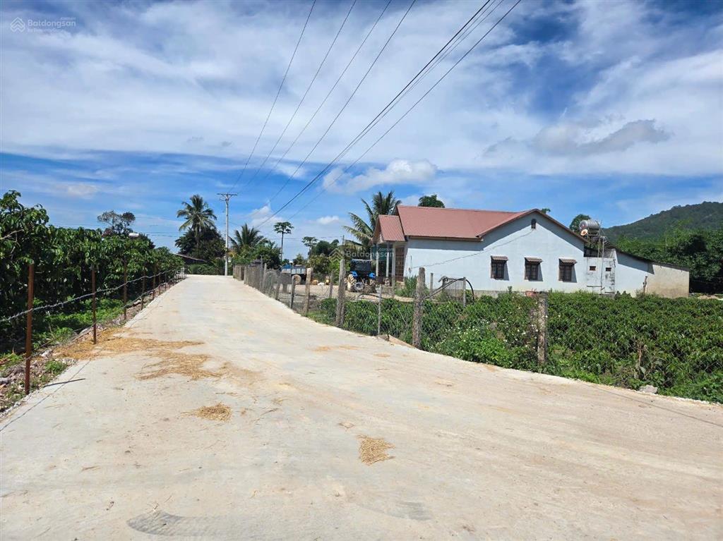 Bán đất gần reo cư xá, hiệp thạnh (đức trọng cũ), 5x37x75mtc, gần sân bay, sổ riêng, giá 850tr