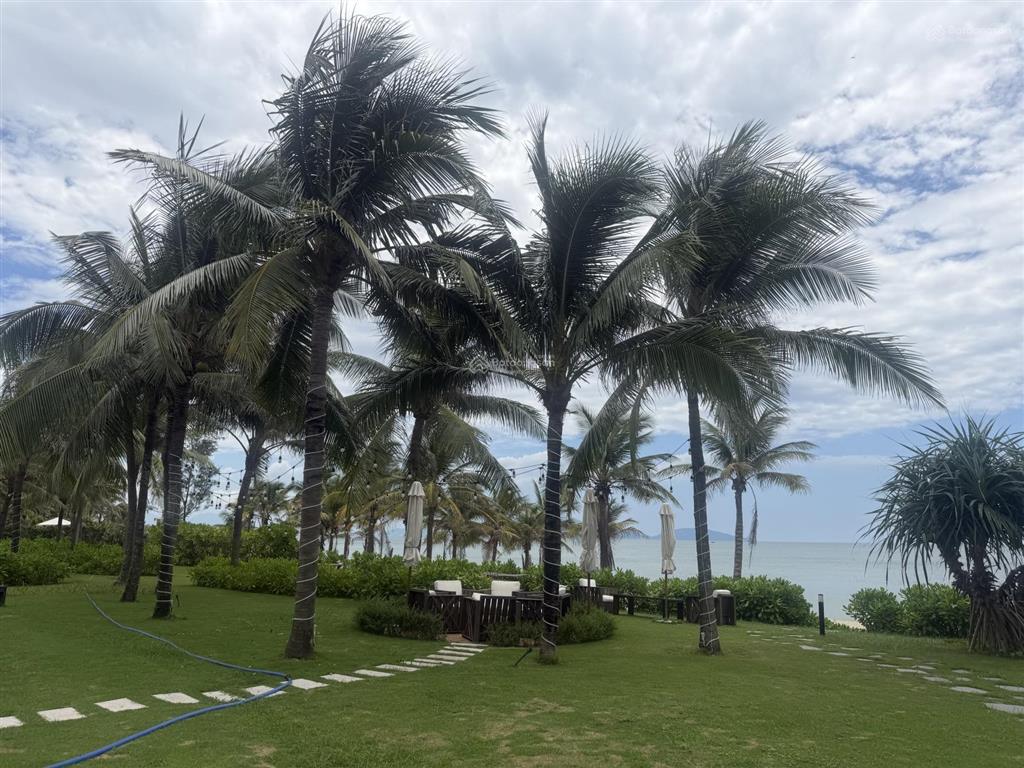 1 siêu phẩm vip hàng tuyệt chủng biển mỹ khê. diện tích 1.440m2 mặt tiền 36m. giá ib