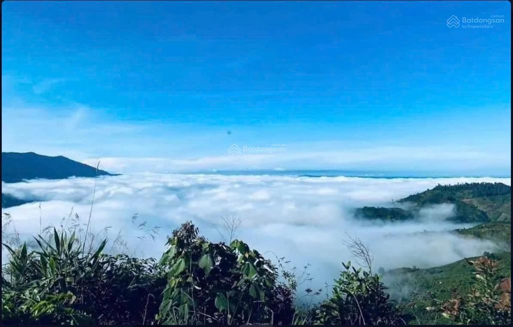 Bán đất view trực diện hồ tà đùng dt 3.478,3m² trong đó có 1060m² đất ở