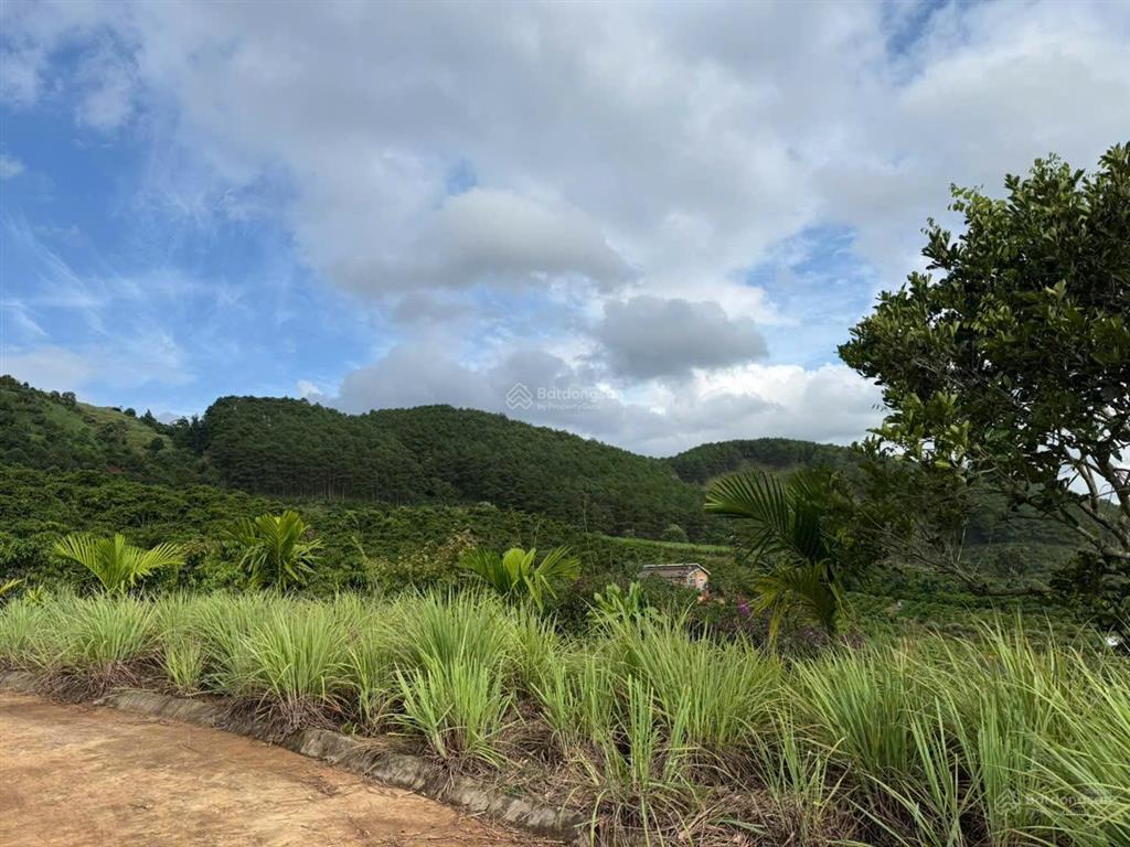 Siêu rẻ đất xã nam ban view thung lũng giá chỉ 450tr