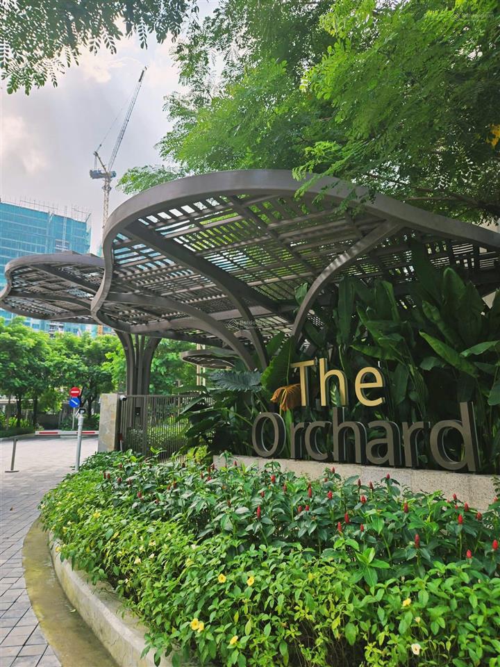 Bán nhà phố the orchard giá hấp dẫn chỉ 9tỷ6. vị trí đẹp, hỗ trợ vay.