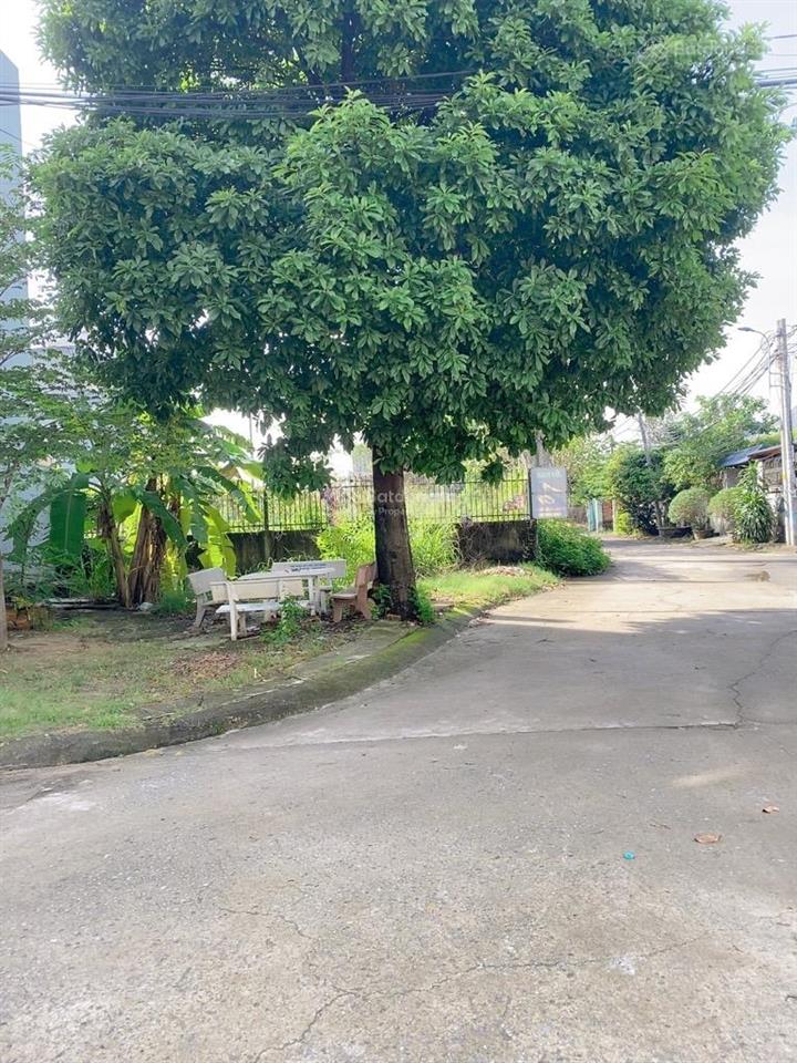 Lô góc 2 mặt tiền nguyễn xiển đối diện vinhomes grand park đường ôtô 113m2 siêu hiếm 7.4 tỷ