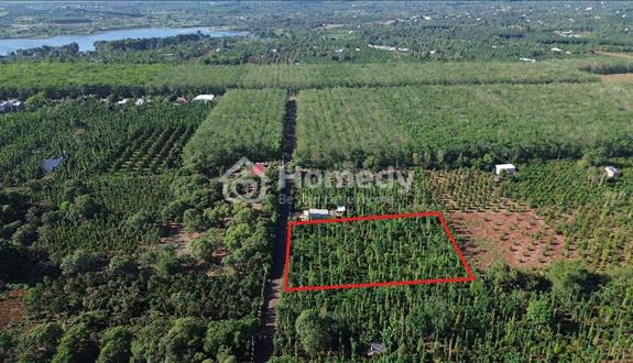 Ngộp bán mảnh đất đẹp tâm huyết , 74x74 , đường nhựa, phủ hồng, vườn cf, bơ đẹp