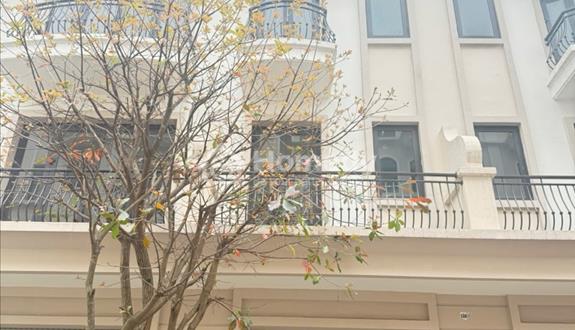 💥Giá tuyệt chủng tại OCP2 - căn shophouse 56m2 8,050tỉ