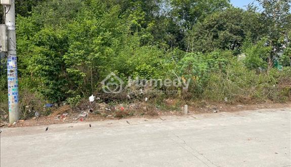 Chính chủ bán đất 179m² - Tân Định 08, Bắc Tân Uyên, Bình Dương