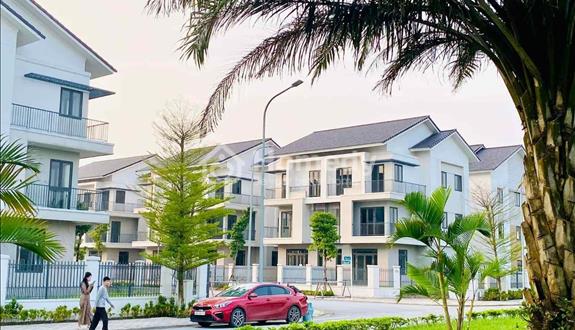 Chiết khấu ngay 10% trên số tiền thanh toán sớm.