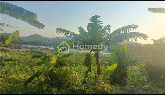 Bán đất phương Nông tiến thành phố Tuyên Quang giá 5 tỷ âCtl