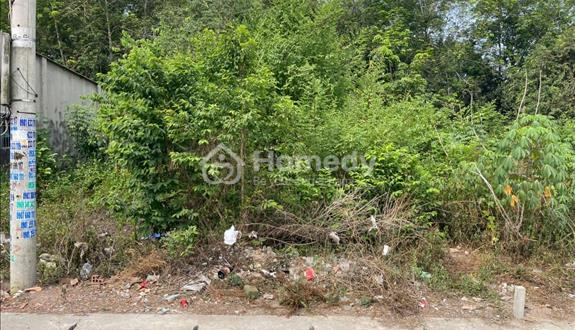 Chính chủ bán đất 179m² - Tân Định 08, Bắc Tân Uyên, Bình Dương