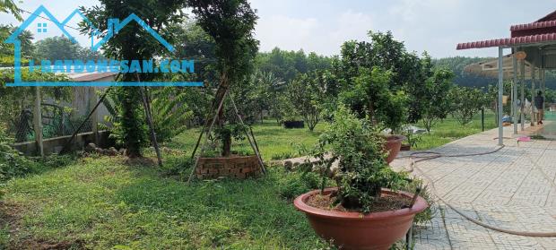 Vườn Bười đường xe tài Bình Lợi, Vĩnh Cửu, Đồng Nai, 6600m2, giá 8 tỷ 500.