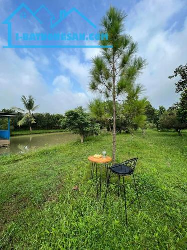 Bán nhà vườn mặt tiền Long Chiến, Bình Lợi, Vĩnh Cửu, 5600m2,sổ thổ cư, giá 16,5 tỷ.