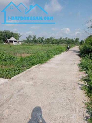 420m2 có 205m2 thổ cư đường 12m ngay ubnd xã Tân lợi giá 350 triệu