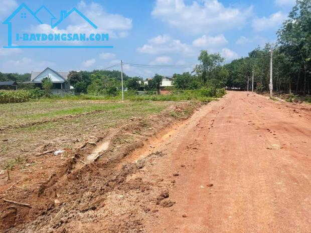 hơn 1,2ha giá chỉ 95 triệu/1 sào Đồng phú bình phước