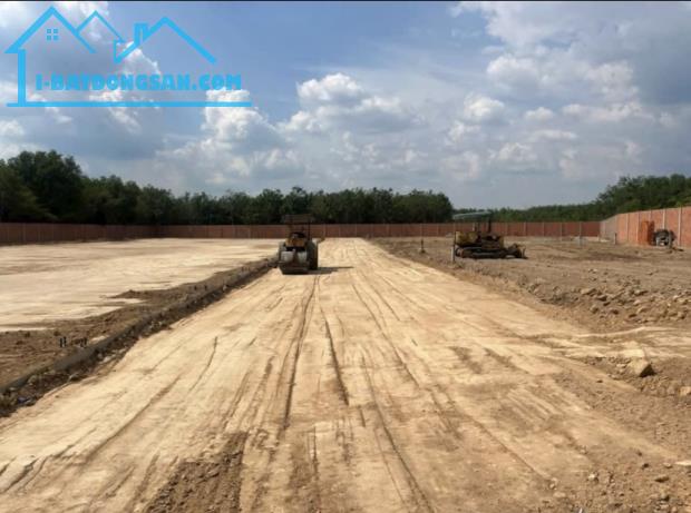 💥CẦN BÁN GẤP ĐẤT SKC LONG NGUYÊN BẦU BÀNG -BÌNH DƯƠNG