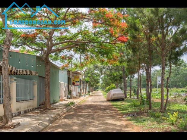 ĐẤT nền khu dân cư Phú an Diên Phú