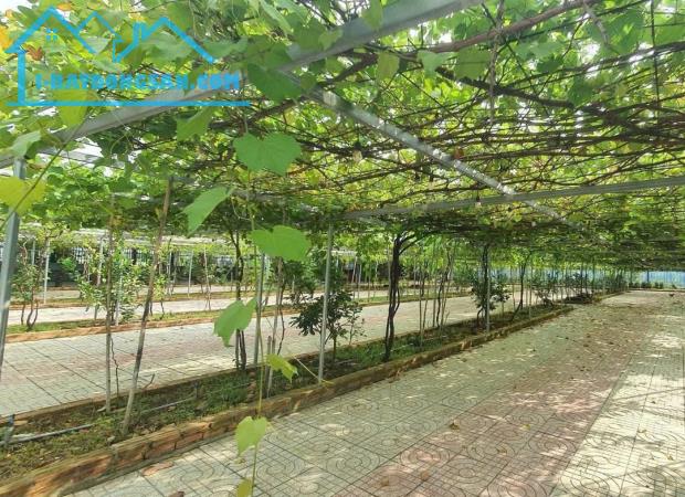 Chuyển nhượng khu vườn sinh thái gần 1Ha tại TP.Biên Hoà. Giá 58 tỷ. Sổ riêng. Đường 2 ôtô