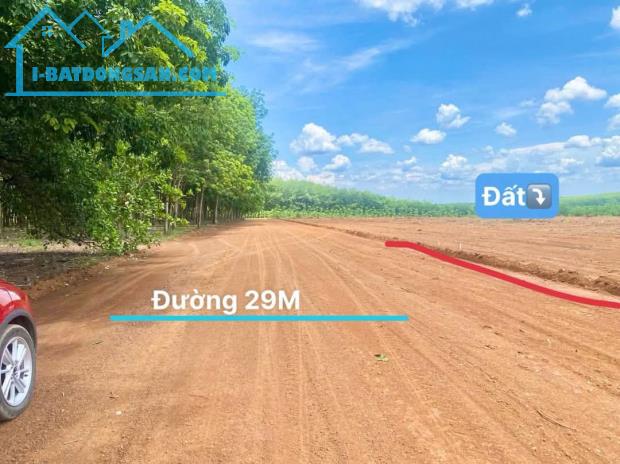 1000m2 cặp sát tuyến 2 (65m) mặt đường 24m Đồng Phú Đồng Nai chỉ 300 triệu